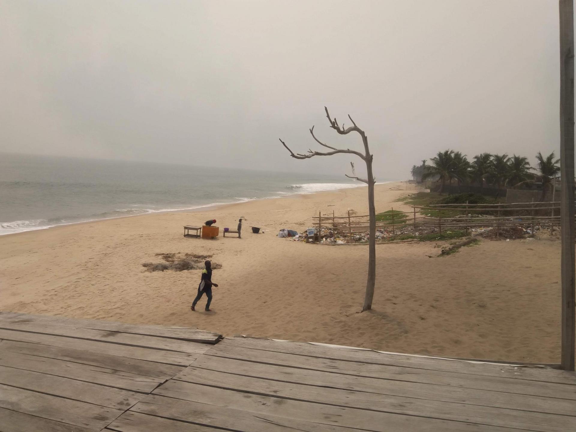 windy beach