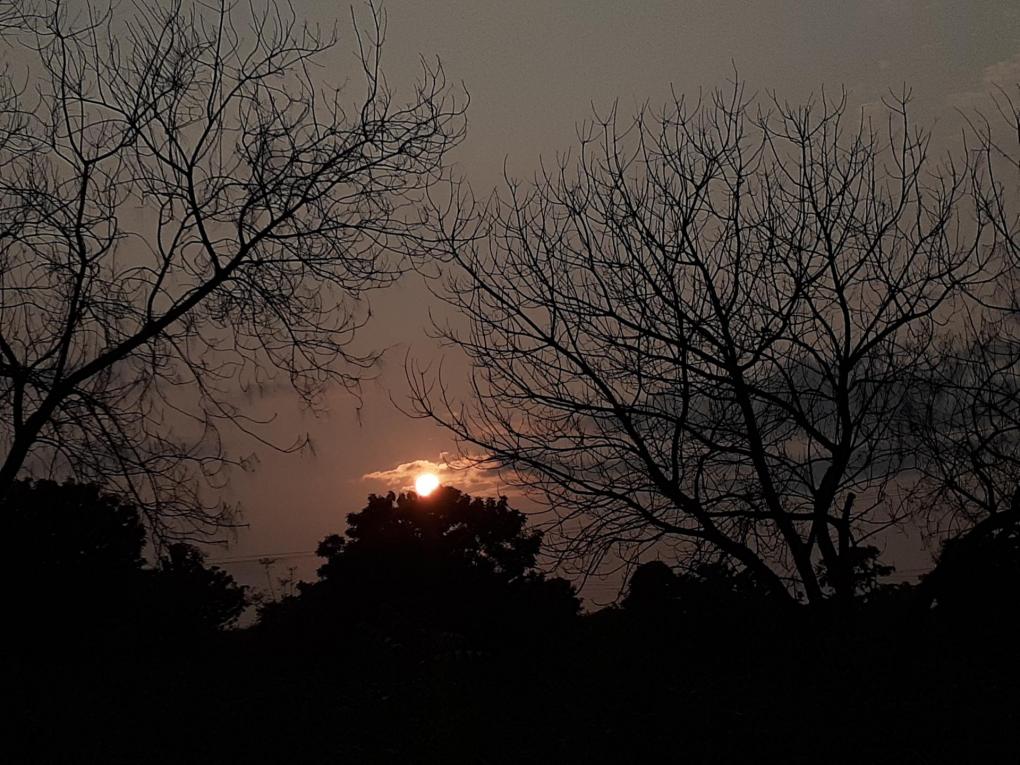 Sunset Between Shadows
