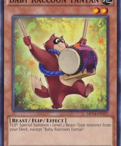MP14-EN137 - Baby Raccoon Tantan - Common - 1st Edition