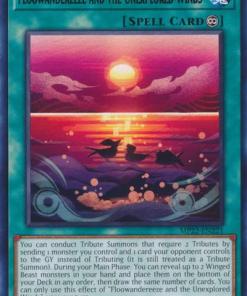 MP22-EN221 - Floowandereeze and the Unexplored Winds - Rare - 1st Edition