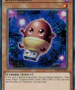 SDPL-EN001 - Datacorn - Common - 1st Edition
