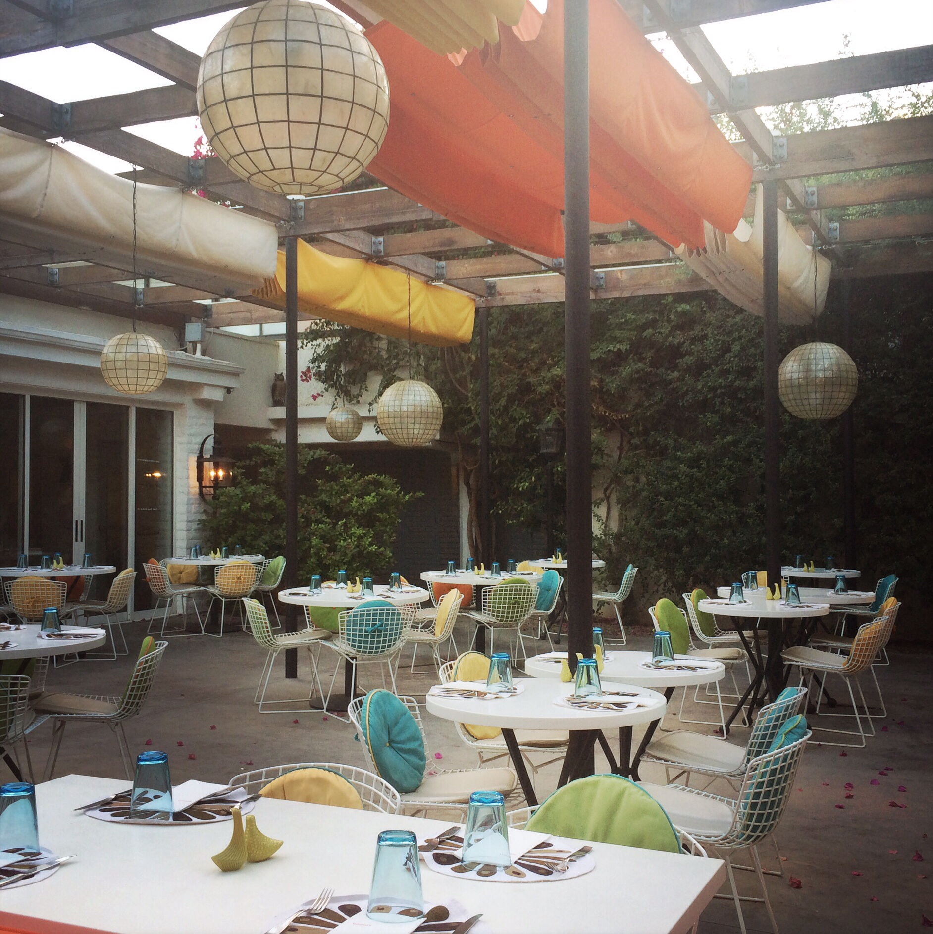 Norma's. We bought the salt & pepper shakers we loved them so much