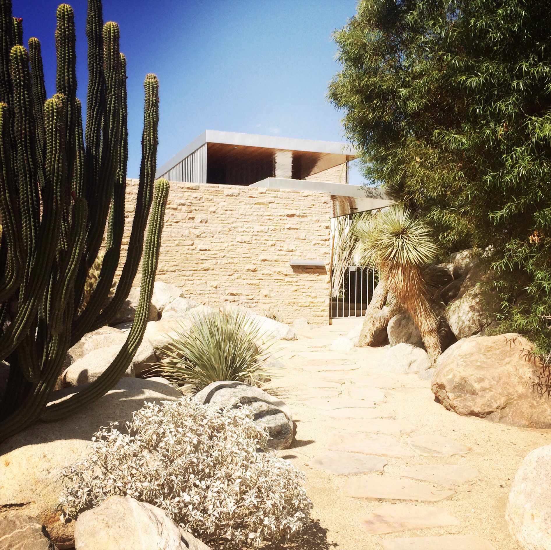 Kaufmann Desert House