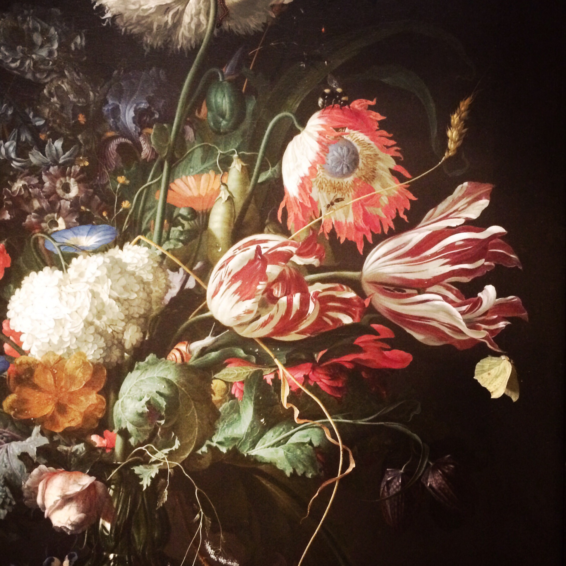 Jan Davidsz. De Heem, 1606-1683. Vase of Flowers, 1645.