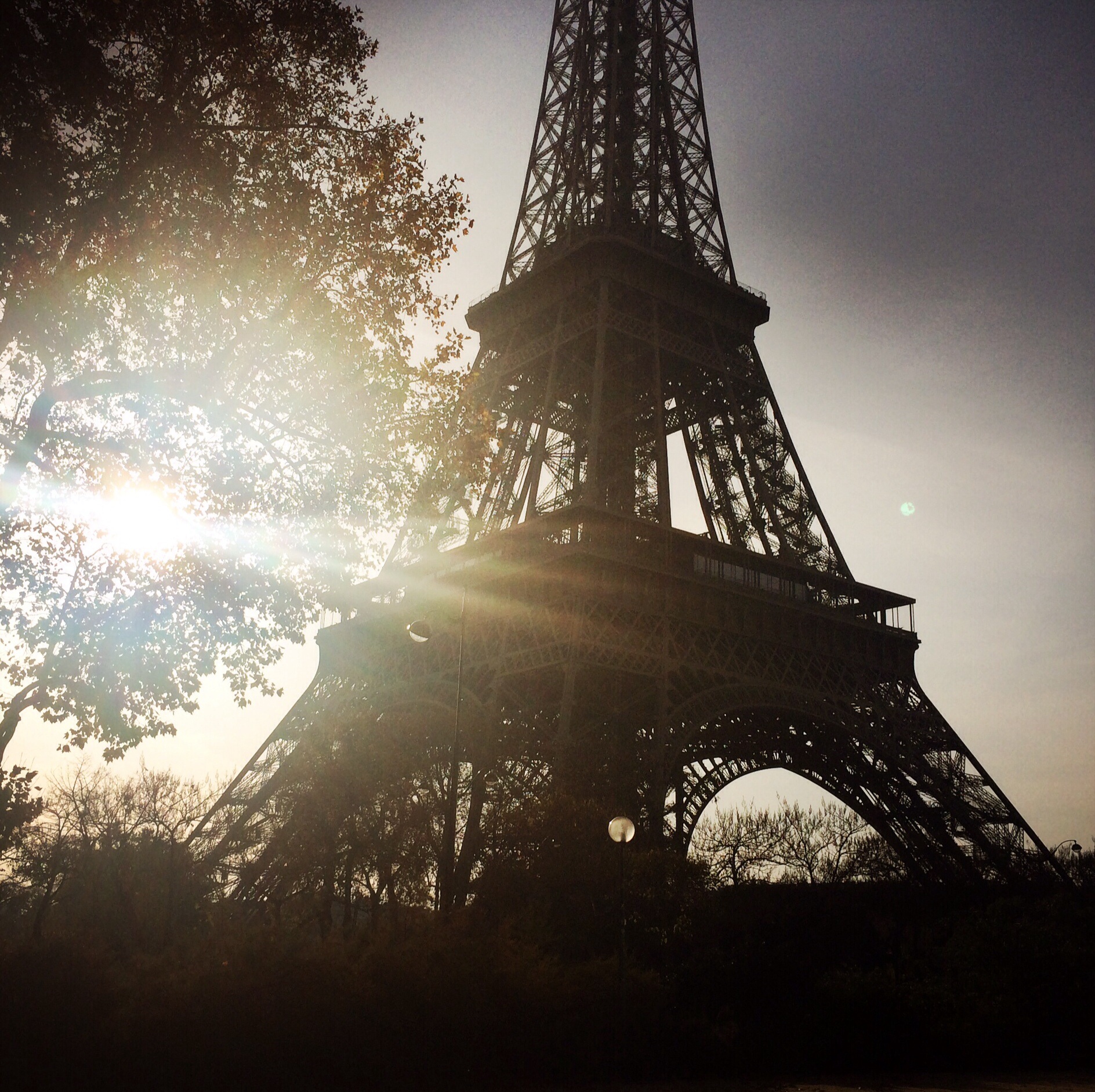 Eiffel Tower looking like a gorgeous cliche.