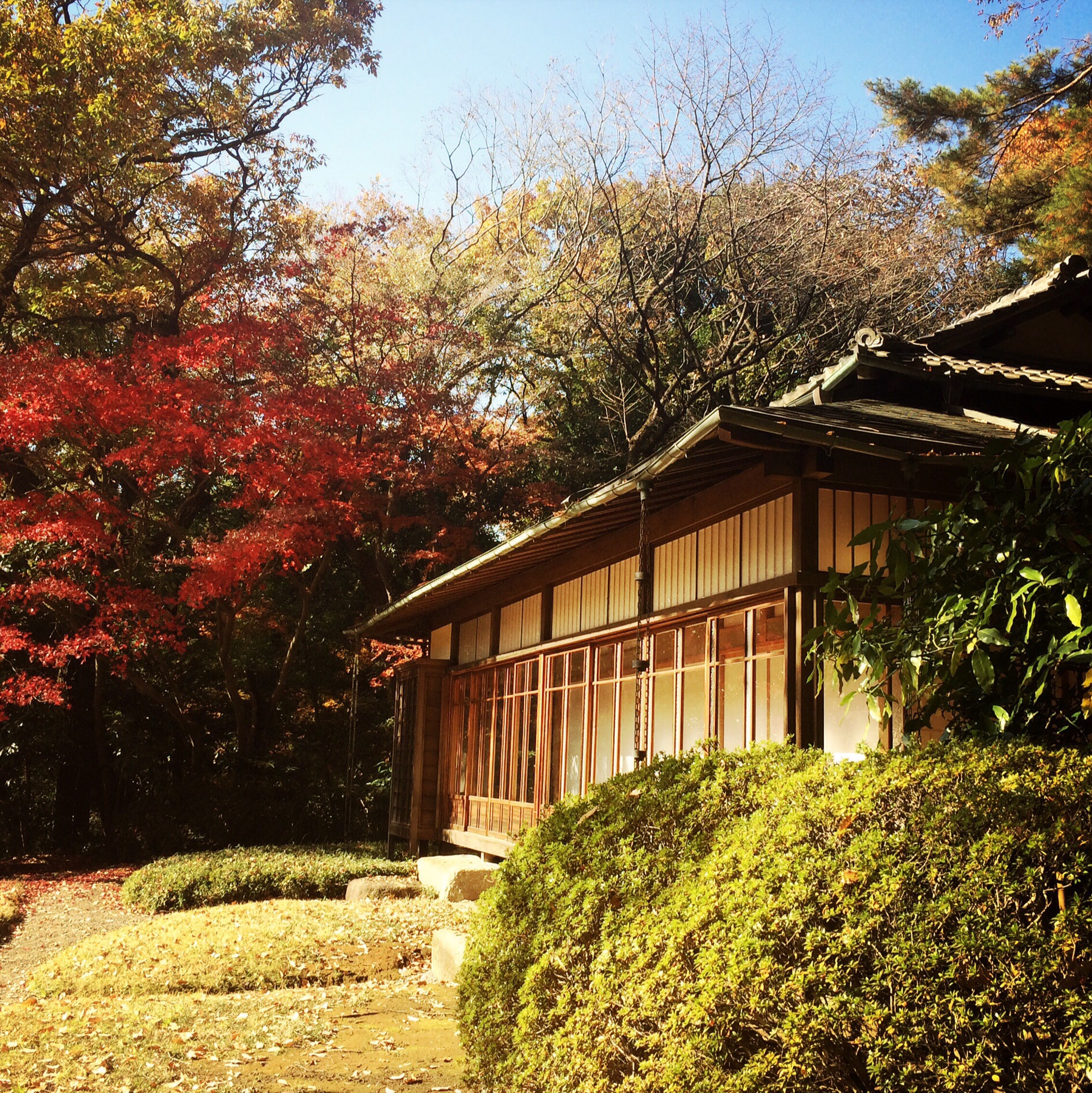 Meiji Tea House