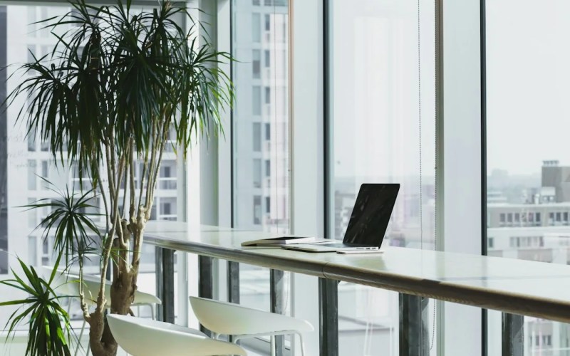A bright, organized workspace with a desk and plants
