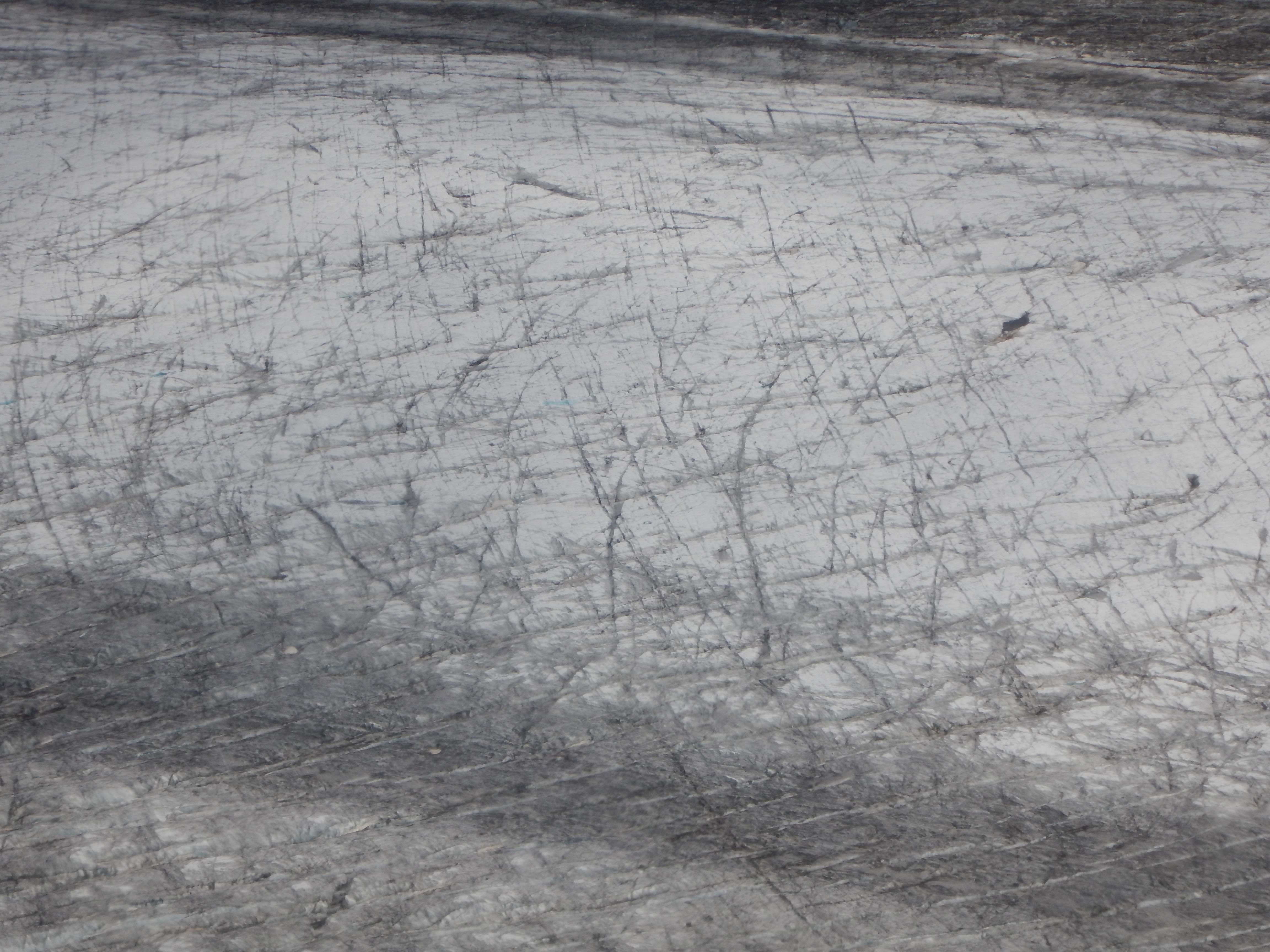 Glacier ice looking like elephant skin.