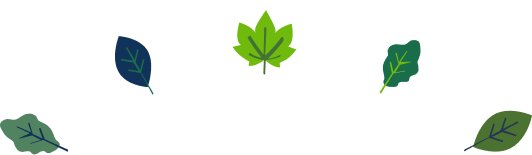 Free Trees For Schools And Communities Woodland Trust