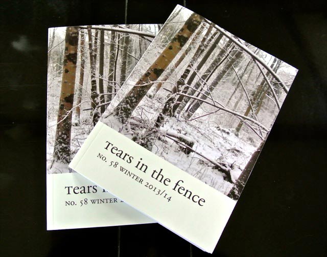 Tears in the Fence 58