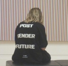 The Mesh: Tears in the Fence Festival Theme