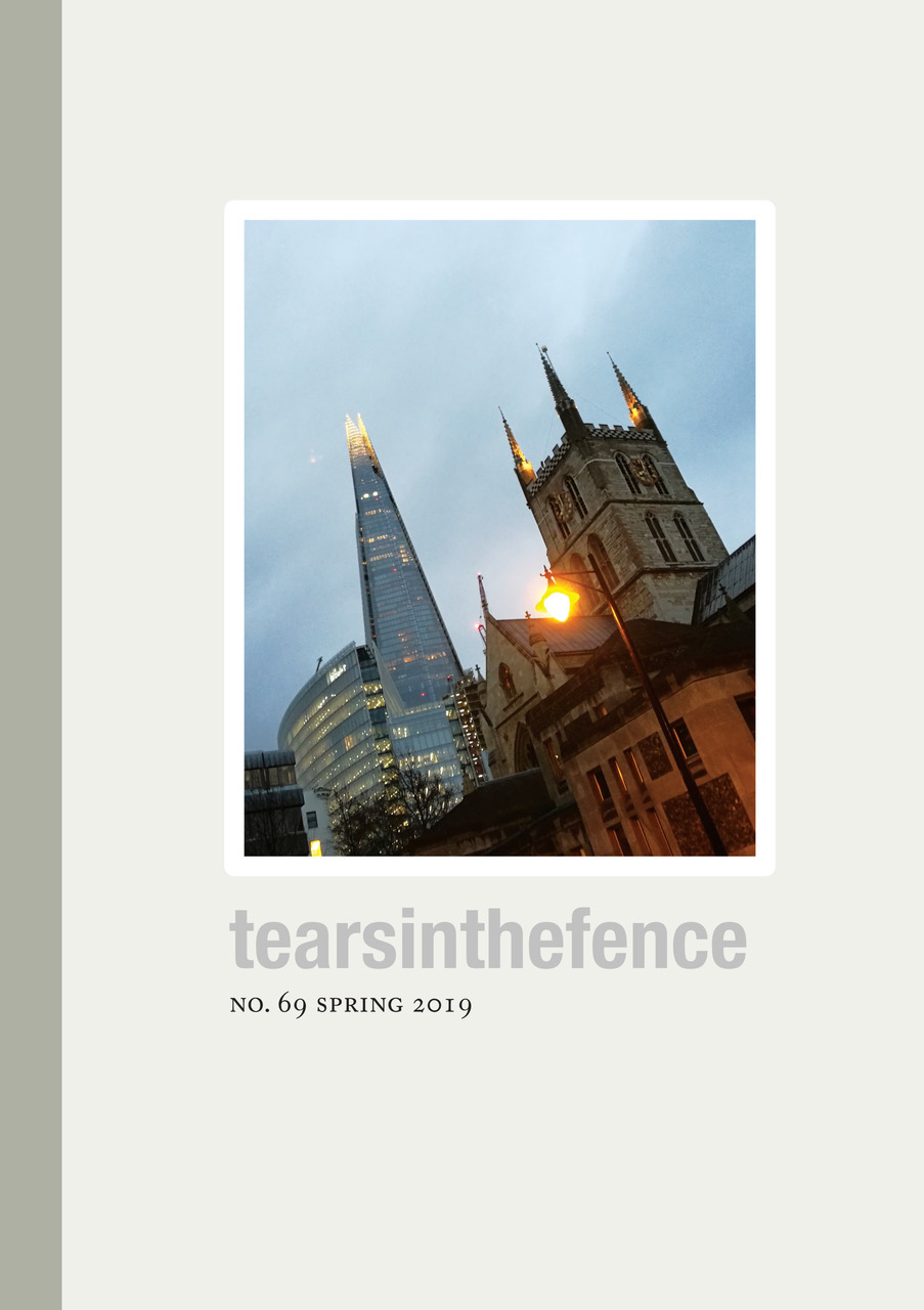 Tears in the Fence 69