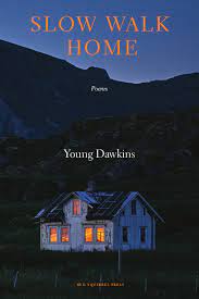 Slow Walk Home by Young Dawkins (Red Squirrel Press)