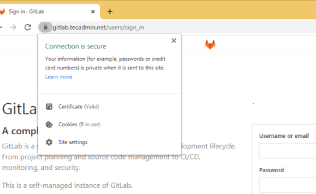 How To Secure GitLab Server With Let's Encrypt SSL – TecAdmin