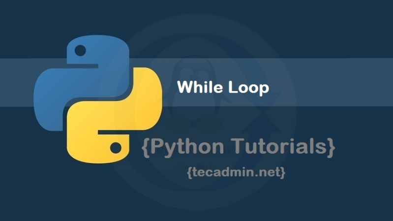 Python While Loop Tutorial Programming Funda - Space Photo Collection - High Resolution Quality