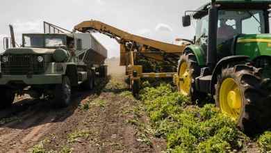 Agtech: A Pivotal Force Driving Climate Change Action in Agriculture