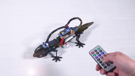 夏休み】プログラム可能でリモコン操作可能なトカゲのロボットキット