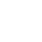 RAM MOUNT