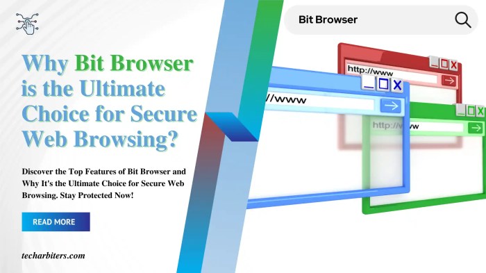 Antidetect Browser Review: Bit Browser Bit browser download