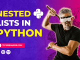Python Nested Lists Tutorial Techbeamers