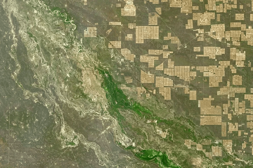 The ‘ground truth’ gap in AgTech: Why satellites alone can’t save supply chains