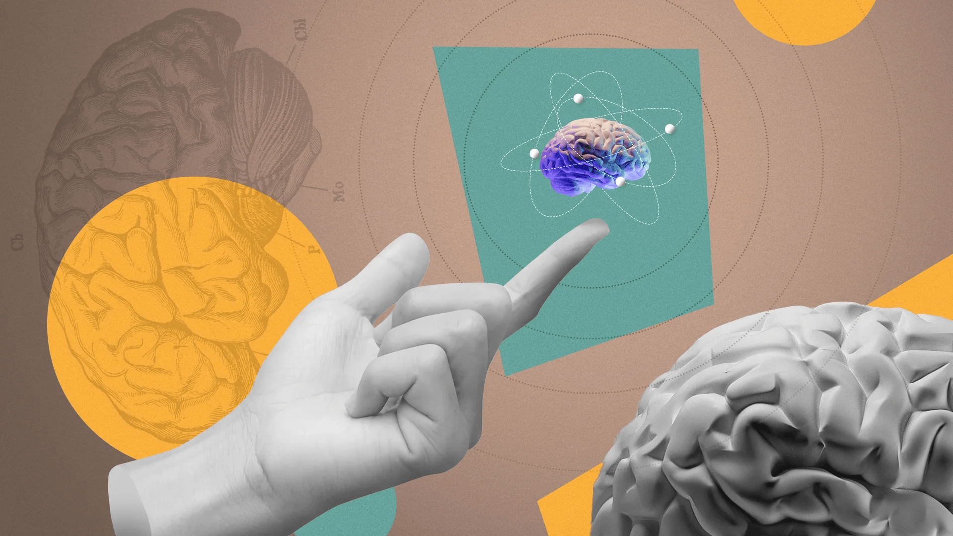 Final training of AI models is a fraction of their total cost