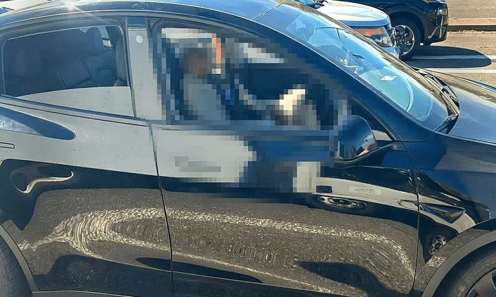 Tesla drives drunk owner while he naps, Police still arrest him on DUI