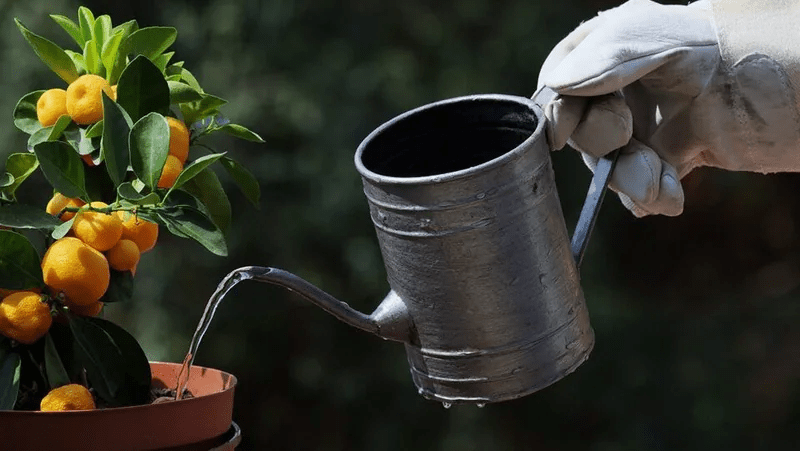 More On Batteries, Or How To Grow Lemons In Vermont