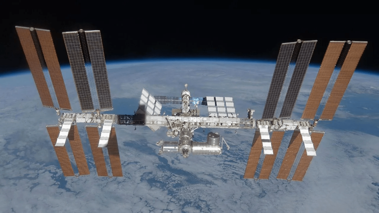 Crew of tiny worms readies for April 11 launch to International Space Station