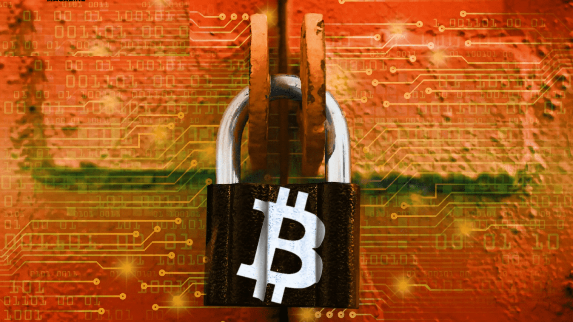 ZachXBT Shares Leaked Data Exposing a North Korean-linked IT Worker Network