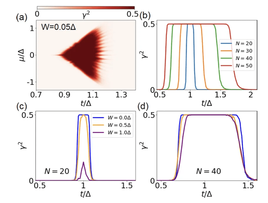 Study: Majorana States Get Easier to Find as Quantum Chains Grow Longer