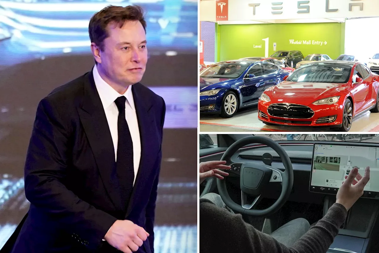 Angry Tesla owners sue Elon Musk’s automaker for ‘misleading’ them about self-driving tech