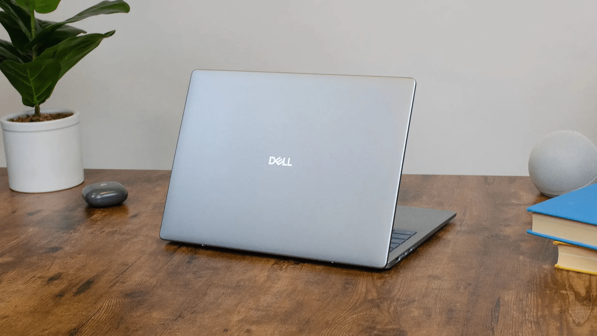 The “beige cardigan” of laptops — Why Dell’s 14 Plus is a better value than its flashier rivals