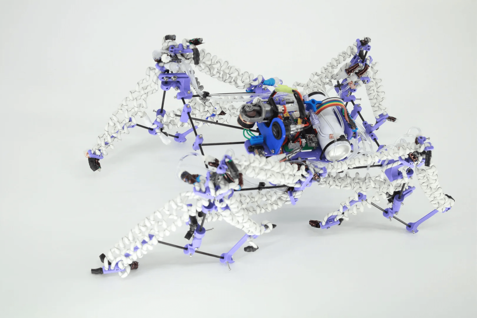 Giving Robots More Muscle Can Help Them Lose Weight
