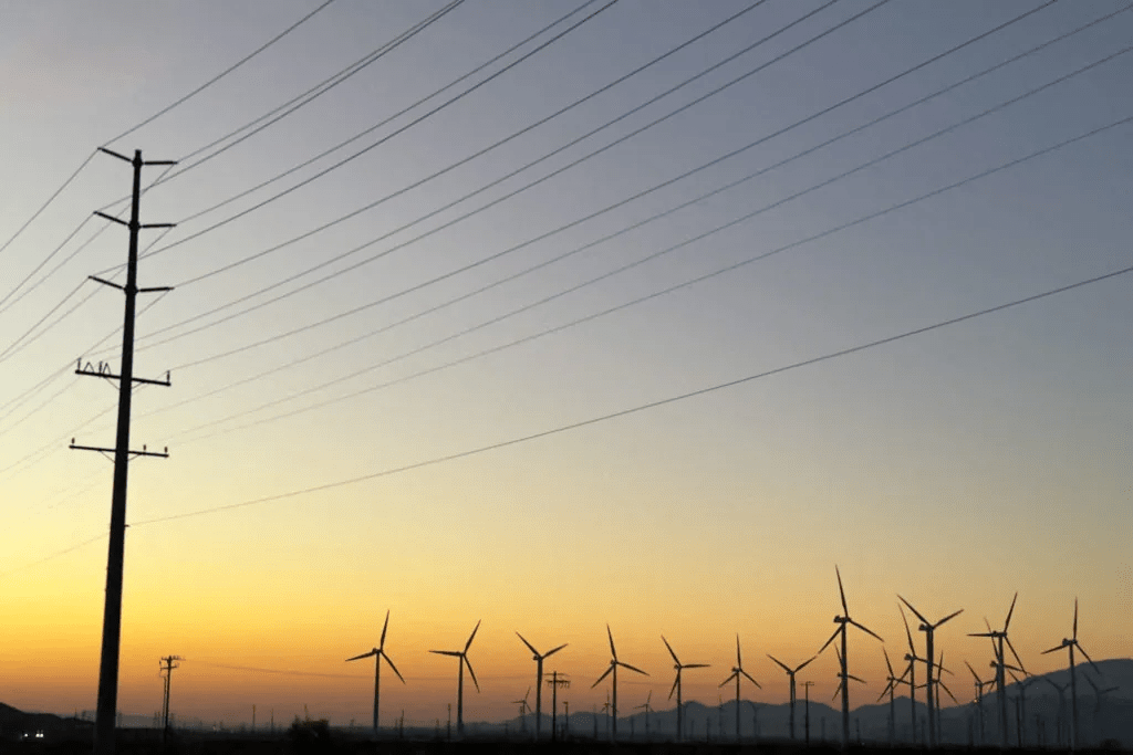 Utility board elections face surge of attention as electricity rates rise