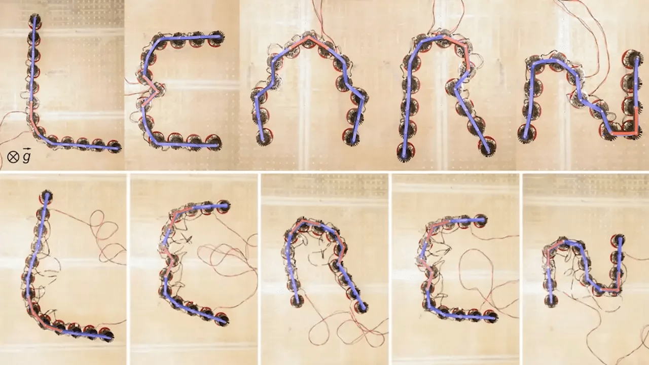 New metamaterials learn shapes, adapt behavior, and move like living systems
