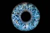ICE to keep an eye on your eyes under $25M biometric scanner deal
