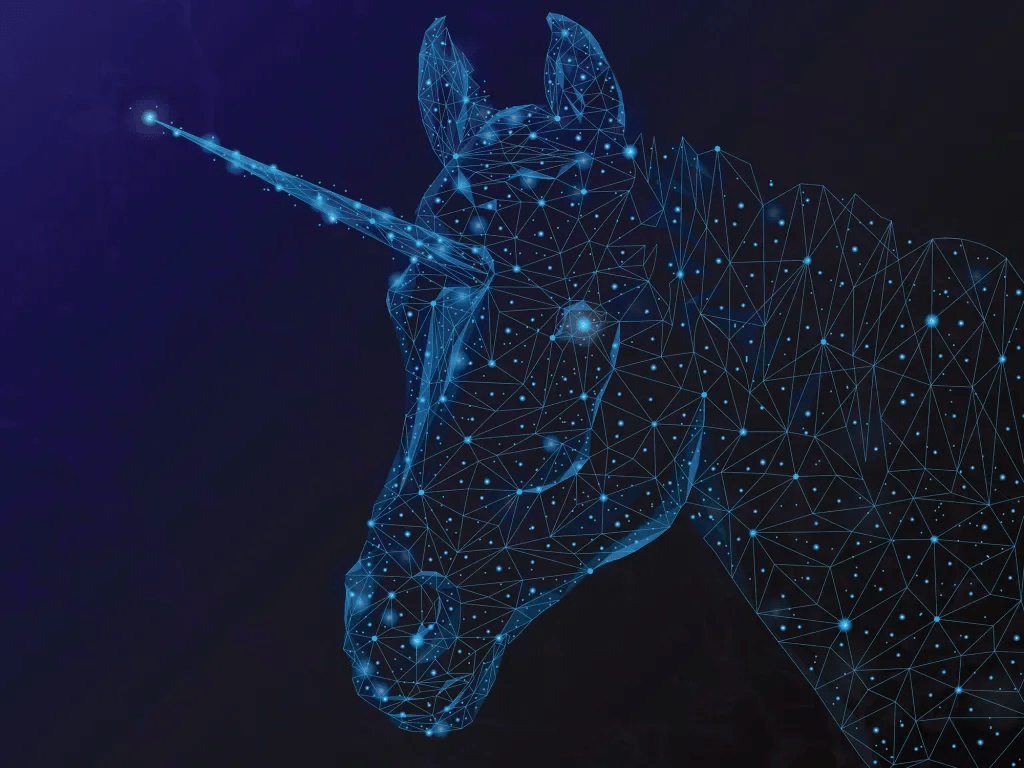 Rounding up the space unicorns