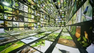 Google is opening the world’s first AI museum in Los Angeles
