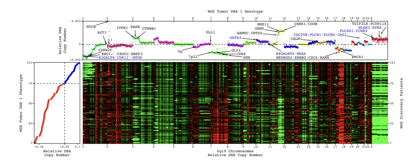Quantum-Inspired AI Finds Cancer Signals in Small, Noisy Data Sets