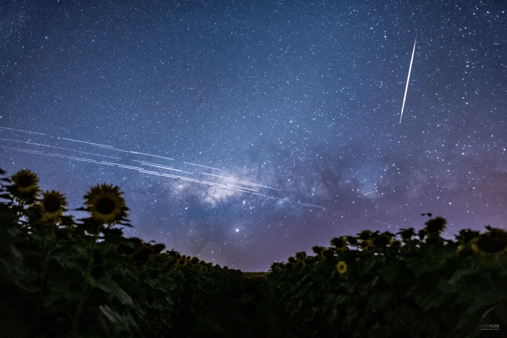 NGSO trade association launches without industry giant SpaceX