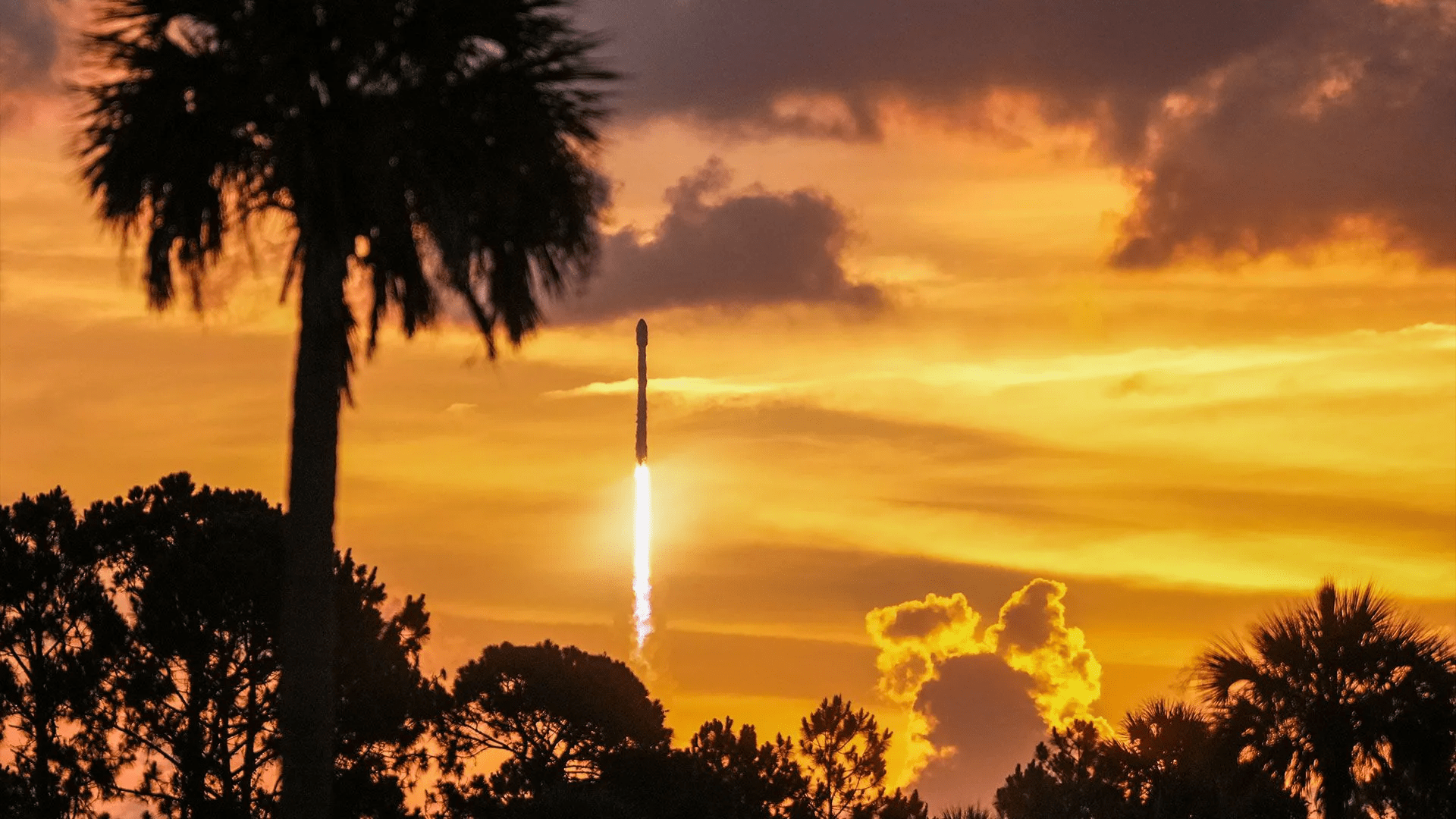 SpaceX launches back-to-back Starlink missions from both coasts 19 hours apart