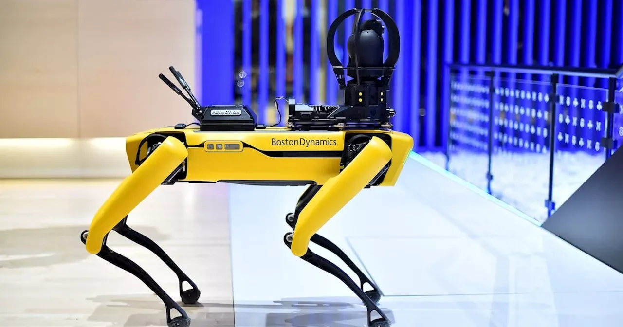 FIFA to Deploy Robot Dogs to Beef Up World Cup Security