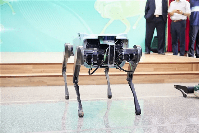 Taiwan robot dog platform could give island early edge in global robotics race