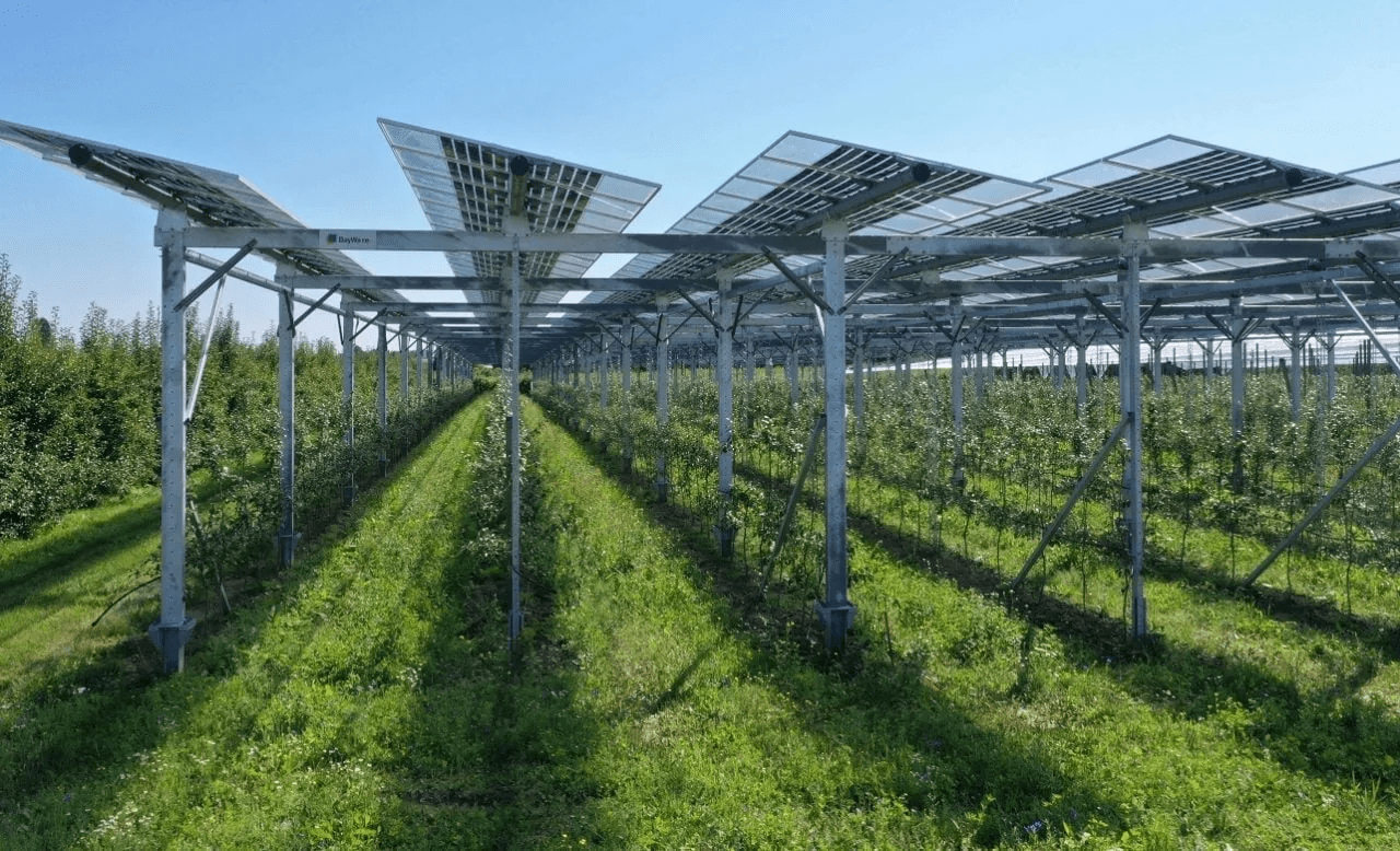 Spanish government awards €360 million for co-located battery storage projects
