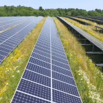 Oh, So Trump Loves Solar Power After All?