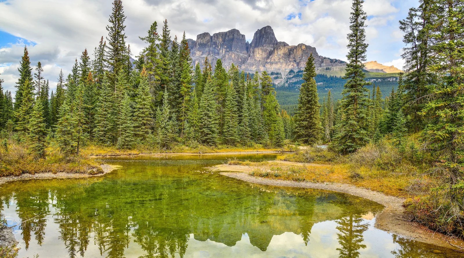 Sierra Club Statement on USDA Announcement to Remove Roadless Rule Protections