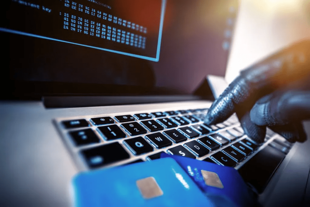 How ants are cashing in on the fight against money laundering