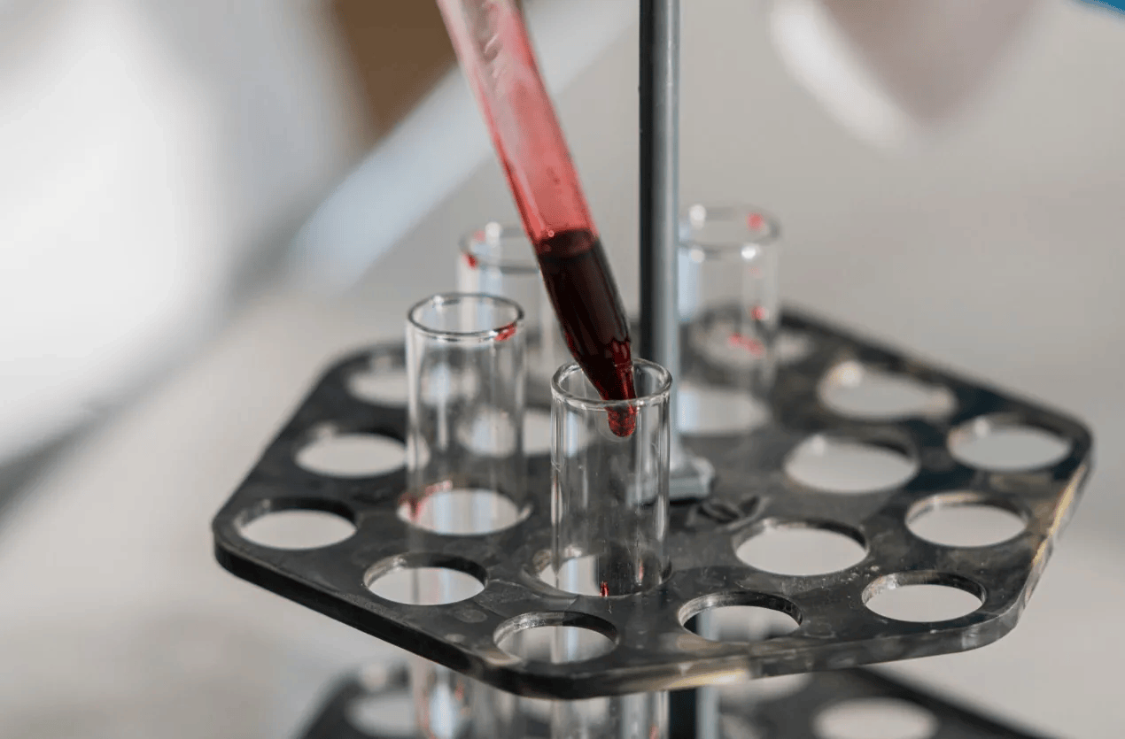 How AI could replace animal testing