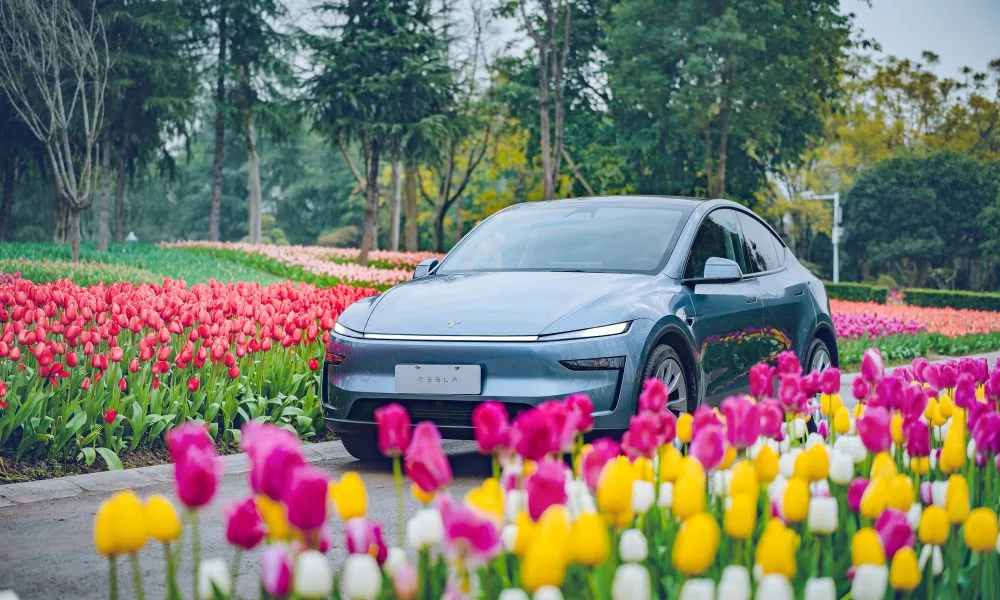 Tesla looks to expand into new Asian market, strengthening presence